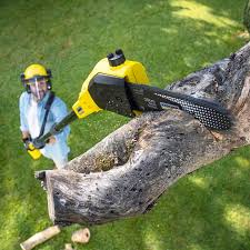 Best Lawn Mowing Services  in Valley Springs, CA